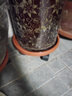 万向轮移动托盘花架 花托 滚轮花盆底座 大型花卉 可存水带轮 加厚红平面26型4轮 实拍图