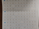 【图书】优美句子积累字帖大全小学生专用每日成语高频字练字帖每日一练好词好句好段正楷写字一二三年级四五六语文钢笔楷书练习硬笔书法练字本幼小衔接临摹描红练字帖 练字帖《优美句子》随机3本 实拍图