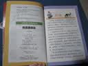 铁道游击队（彩图注音版）红色经典系列 一二年级课外阅读推荐 实拍图