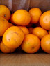 广西武鸣沃柑2025橘子新鲜水果当季一级沙糖蜜橘砂糖柑橘大果 小果(单果径55-60mm) 净重3斤 实拍图