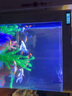 欧宝 鱼缸玻璃生态水族箱子弹头家用客厅屏风金鱼缸大型可定制 弧门款 底滤 1米长 实拍图