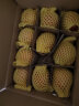 沙窝曙光陕西洛川红富士苹果水果新鲜脆甜冰糖心时令应季丑苹果水果礼盒 爆卖9.5斤75-80mm（净重8.5斤） 晒单实拍图