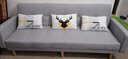 卓芝 布艺沙发床客厅卧室组合家具北欧现代小户型出租房公寓折叠沙发 6色浅灰色(棉麻布) 4人位(2.1米长*宽1.1米)配3抱枕 实拍图