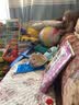 杜曼闪卡 百科中文卡带智力纲领全脑记忆百科知识蔬菜水果动物花卉颜色 实拍图