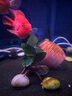 异景园鱼缸水族箱造景水榕沉木活体水草淡水无土植物后景真水草净水增氧 单头小水榕沉木 实拍图