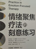 情绪聚焦疗法的刻意练习 实拍图