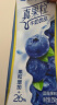 蒙牛真果粒蓝莓味牛奶饮品250g×12盒 蓝莓果粒 饮料 晒单实拍图
