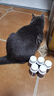 派迪诺 深海鱼油片狗狗猫咪专用DHA美毛亮毛护肤护毛宠物补充营养片 深海鱼油片【买3瓶送2瓶】到手5瓶 实拍图