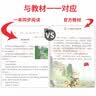 一本默写能力训练100分小学语文四年级上册2023秋同步教材字词句(课时练+易错练+阶段练+真题练) 实拍图