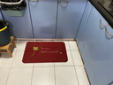 ACEBON入户门地垫进门门口门垫家用吸水防滑脚垫可裁剪垫子耐脏厨房垫 棕色太阳花 60*90cm 实拍图