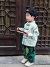 FNJ KIDS童装男童汉服套装夏季宝宝周岁礼服新中式唐装中国风两件套 绿色竹子（现货直发） 90 cm（建议身高80-90cm） 晒单实拍图