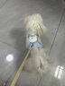 柒哦狗狗牵引绳小型犬背心式遛狗绳子泰迪比熊胸背带外出狗链子宠物 小兔子-粉色【背心式 双重锁扣】 S码-建议2-6斤 实拍图
