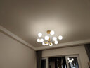 雷士（NVC）LED吊灯北欧现代简约客厅大灯餐厅灯饰全屋卧室灯房间灯具套餐 10+6头 【一室一厅B】【带光源】 实拍图