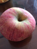 阿克苏苹果新疆阿克苏冰糖心苹果 时令苹果水果 丑苹果红富士 源头直发包邮 10斤礼盒特级果85-99mm净重8.5-9斤 实拍图
