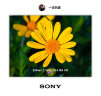 索尼（SONY）Alpha 7C 全画幅微单相机 轻便小巧简易操控实时眼部对焦 银色 （A7c/a7c/a7c） 晒单实拍图