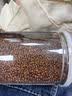 汇荞黑珍珠苦荞茶全颗粒正宗四川大凉山黑苦荞麦茶泡水喝养生茶无糖 黑珍珠510g*2罐（全颗粒、耐冲泡） 实拍图