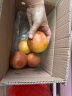京配嘉果南非进口红肉西柚新鲜柚子礼盒孕妇水果葡萄柚当季水果 5斤【颗颗精选】 晒单实拍图