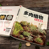 多肉植物完全图鉴 实拍图