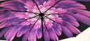 天堂伞雨伞遮阳伞太阳伞防晒防紫外线折叠伞晴雨伞两用胶囊便携迷你伞 （双层伞布）紫色 实拍图
