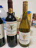 MONTES蒙特斯天使系列霞多丽干白葡萄酒智利原瓶进口红酒750ml  实拍图