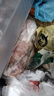 谷开元 宁夏滩羊肉羊肉卷原切新鲜火锅食材涮肉生鲜整条烤肉源头直发 10斤丨手工羊肉卷【福利】 实拍图