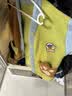 汪汪队立大功儿童家居服套装珊瑚绒开衫2件套男童睡衣女宝宝保暖睡衣咖色 105 实拍图