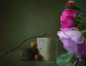 永诺 YN50mm F1.8 小痰盂单反微单标准定焦镜头 适用于索尼口ZV-E10尼康口富士口佳能口相机 YN50mm F1.8N尼康F口 实拍图