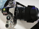 尼康（Nikon） 【全新国行正品带票】Z fc/zfc半画幅复古微单相机触摸翻转屏WIFI4K高清旅游数码相机拆单机 zfc银色全新拆单机身单机（注册3年联保） 套餐三【闪迪128g卡电池背包旅拍达 实拍图