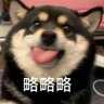 花花公子（PLAYBOY） 羽丝绒被子冬被10斤秋冬棉被8斤冬季加厚宿舍单人被芯双人四季被 蓝+灰色 1.5X2.0【4斤春夏空调房】送被套 实拍图
