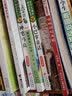 【赠海量电子书】妹妹的红雨鞋 百年百部中国儿童文学经典书系 精选注音书 小学生一二年级课外阅读书籍 儿童读物 实拍图