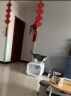 小佩智能宠物智能烘干箱-PRO款 全自动吹风猫咪狗狗烘干机吹毛多猫  实拍图