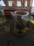 斌能达玻璃泡茶壶红茶茶具泡茶器绿茶功夫过滤杯加厚家用办公室茶水分离冲茶壶大号 420ML茶色把单壶 实拍图