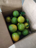 青舞正宗广东德庆皇帝柑贡柑新鲜水果精选大果非沃橙橘桔子装孕妇水果 5斤礼盒装甄选特大果（净4.5斤） 实拍图