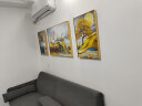 鲸派 客厅装饰画现代简约三联画现代简约轻奢风沙发背景墙画金鹿山水风景挂画 647-1 左右40*60中间80*60金框/晶瓷画 实拍图