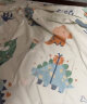 洁丽雅纯棉四件套全棉床单被套枕套双人被罩床品 恐龙世界1.5/1.8米床 晒单实拍图