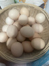 敞鲜 正宗土鸡蛋农家散养新鲜纯农村自养天然草鸡蛋柴鸡蛋笨鸡蛋 20枚 实拍图