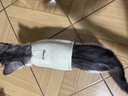 加仕高猫咪牵引绳猫绳子宠物用品防挣脱背心式溜猫猫咪外出遛猫绳子S 实拍图