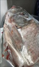 棠鲜生正宗千岛湖胖头鱼整条活鱼淡水鲢鳙大头鱼5-40斤包活到家送礼 20斤活鱼 实拍图