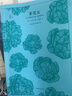 文学名著·译文40：茶花女 小说 实拍图
