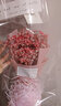 爱满（AIMAN） 节日礼物大束满天星真花520花束礼品包装送女朋友生日闺蜜礼物速递毕业礼 小束红色满天星精装款 含礼袋35*20cm 实拍图