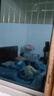 龍博士防晒隔热膜家用窗户玻璃防窥膜卧室厨房阳台隐私遮光贴纸单向透视 钻石蓝（单向隔热实惠款） 0.6米宽/米（拍多件默认连着发） 实拍图
