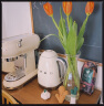 SMEG斯麦格 意大利复古意式咖啡机家用半自动 带蒸汽奶泡机 ECF01多色可选 奶白色 实拍图