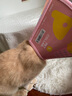KimPets宠物伊丽莎白圈猫咪防舔头套狗狗防抓挠防咬项圈脖圈绝育驱虫用品 【防水防挣脱】幸运多巴胺 L(颈围31-37cm 适合13-26斤宠物) 实拍图