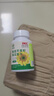 内廷上用菊苣芹菜籽葵花粉片中老年人高浓缩:比花草茶好药食同源 （一瓶）体验装 晒单实拍图
