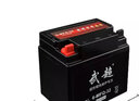 天能摩托车电瓶12V通用免维护弯梁助力125踏板车干电池蓄电瓶 15号:12V32A 实拍图