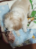 养只宠物（YOUNGER PET）狗狗嘴套防咬防叫防乱吃口罩小型犬宠物嘴罩泰迪用品大型狗套狗罩 尼龙绑带狗嘴套 4号（嘴围24cm以内25-35斤） 实拍图
