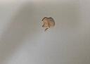 帝伊工坊适用苹果笔记本电脑保护壳岩砂壳全新macbook pro16 M1/M2/M3/M4 MAX 保护套超薄外壳 A2485/A2780 实拍图