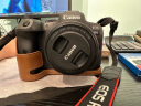 佳能（Canon）EOS R6 全画幅微单数码相机 单机身 实拍图