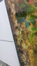 HANYANG黄金沙1kg水草鱼缸底砂南美雨淋化妆细沙免洗龟缸水族养鱼造景 实拍图
