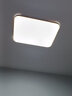 LED客厅灯 吸顶灯 卧室灯 灯具照明 方灯圆灯 客卧套餐组合 60*40cm白光48W（12-18平） 银色边框 实拍图